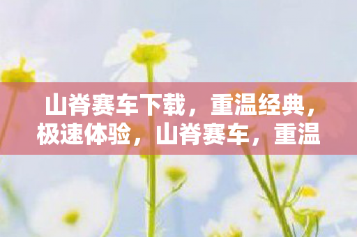 山脊赛车下载图片
