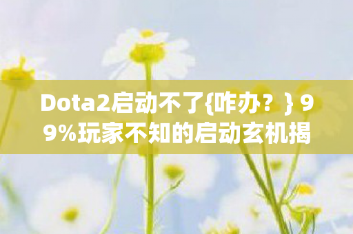 玩家不知的启动玄机揭秘图片