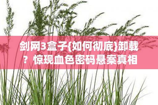惊现血色密码悬案真相图片