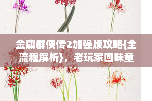 金庸群侠传2加强版攻略图片