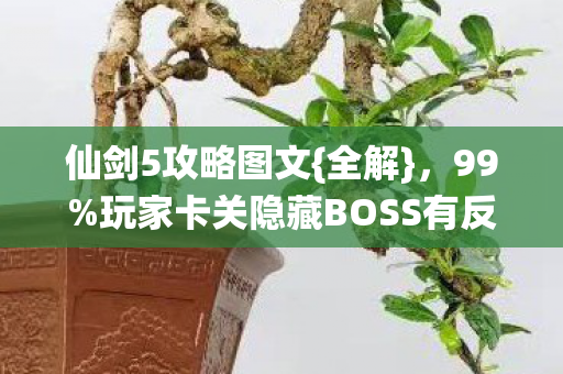 玩家卡关隐藏BOSS有反转图片