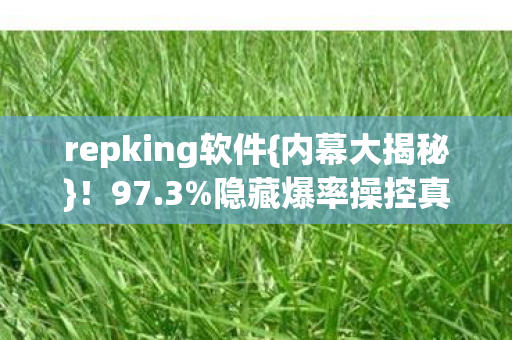 repking软件图片