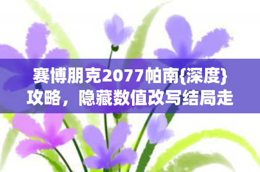 赛博朋克2077帕南图片