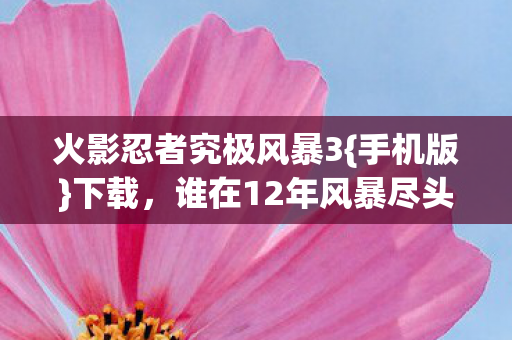 谁在12年风暴尽头等你图片