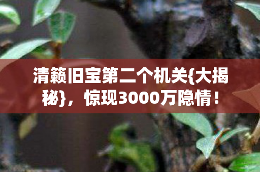 清籁旧宝第二个机关图片