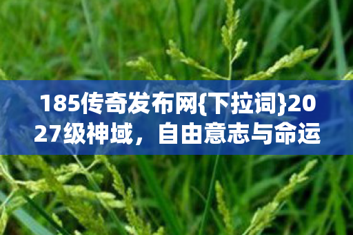 自由意志与命运之争图片