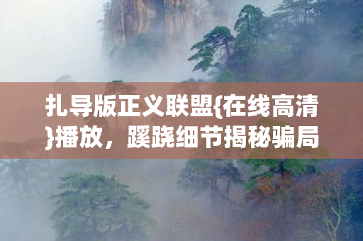 蹊跷细节揭秘骗局图片