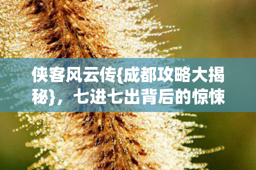 七进七出背后的惊悚现实图片