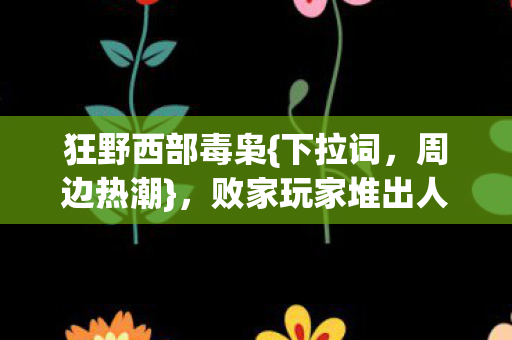 败家玩家堆出人生新境界图片