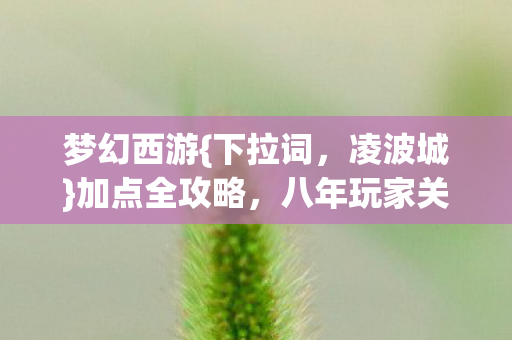 八年玩家关服泪目图片