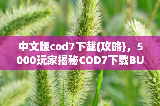 5000玩家揭秘COD7下载BUG真相图片