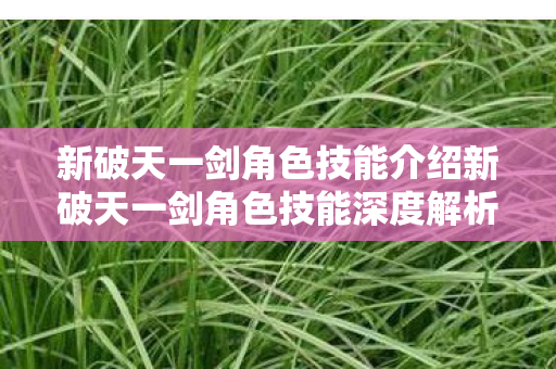 新破天一剑角色技能介绍新破天一剑角色技能深度解析，震撼战斗的艺术，新破天一剑，角色技能深度解析，战斗艺术的震撼展现