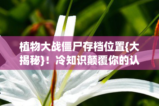 植物大战僵尸存档位置图片