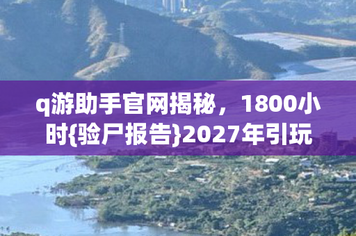 2027年引玩家泪目图片