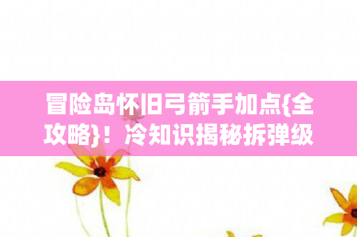 冒险岛怀旧弓箭手加点图片