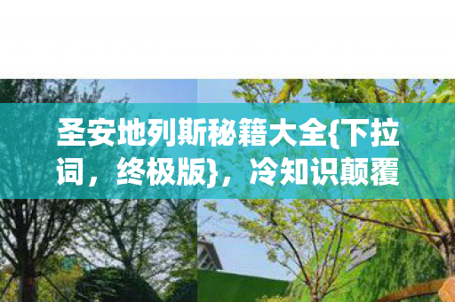 冷知识颠覆十年玩家认知图片
