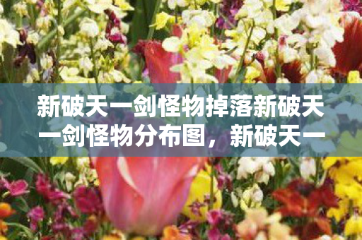 新破天一剑怪物掉落新破天一剑怪物分布图，新破天一剑怪物掉落及分布图全解析