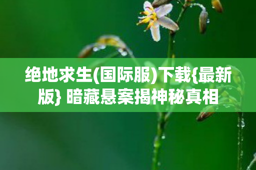 暗藏悬案揭神秘真相图片