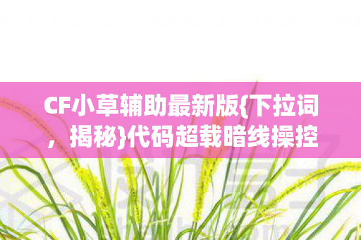 代码超载暗线操控体验图片