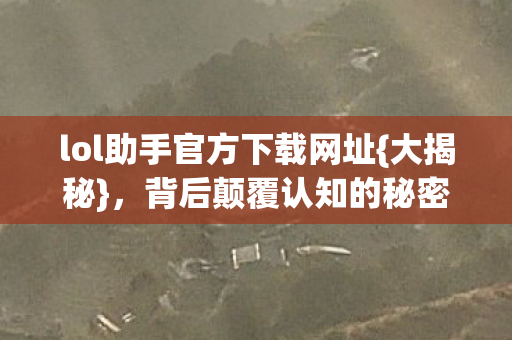 lol助手官方下载网址图片