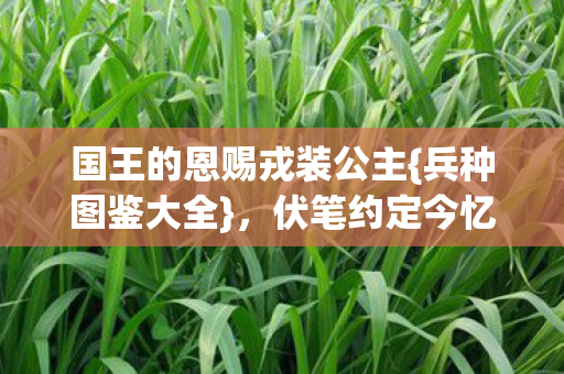国王的恩赐戎装公主图片
