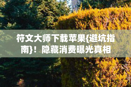 符文大师下载苹果图片