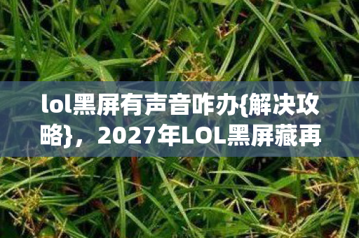 2027年LOL黑屏藏再见图片