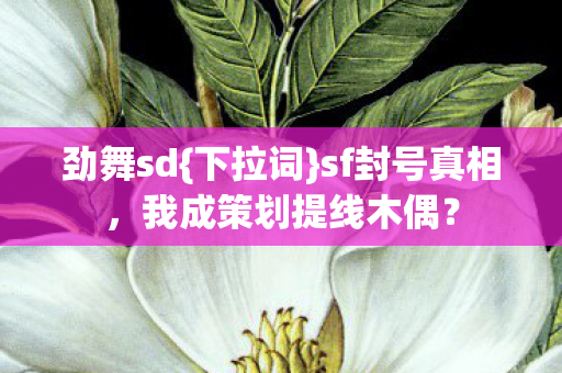 我成策划提线木偶图片