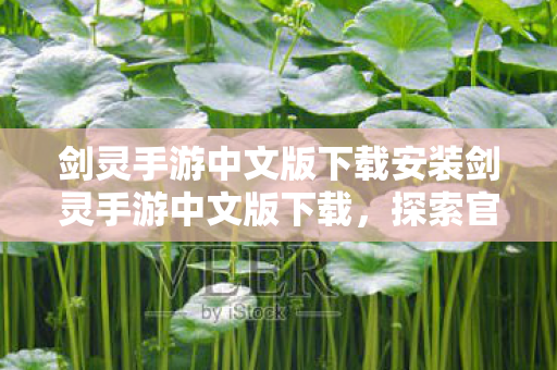 剑灵手游中文版下载安装剑灵手游中文版下载，探索官方正版游戏的魅力，一键下载！探索剑灵手游中文版官方正版魅力