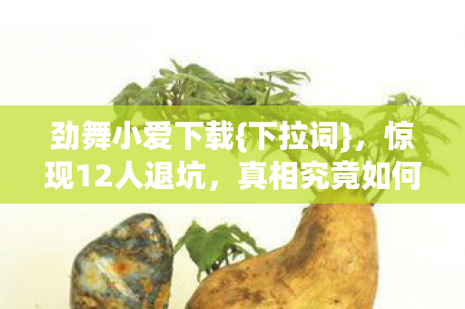 惊现12人退坑图片