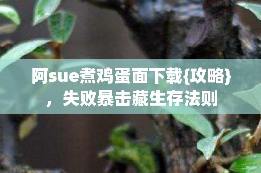 阿sue煮鸡蛋面下载图片