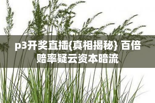 百倍赔率疑云资本暗流图片