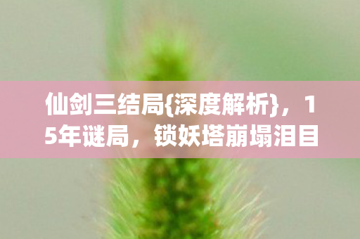 锁妖塔崩塌泪目瞬间图片