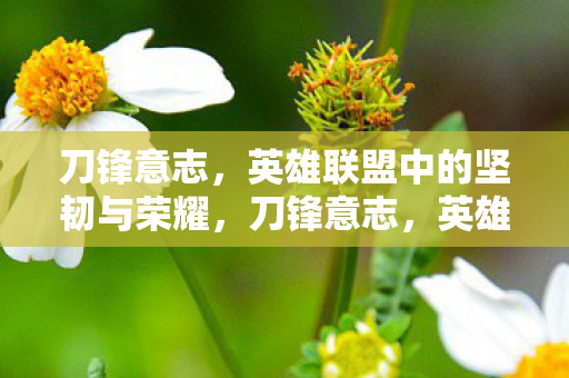 英雄联盟中的坚韧与荣耀图片