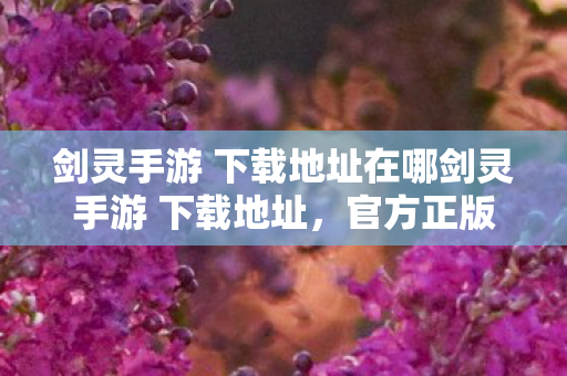 剑灵手游 下载地址在哪剑灵手游 下载地址，官方正版等你体验，官方正版剑灵手游下载地址大放送，精彩体验等你来！