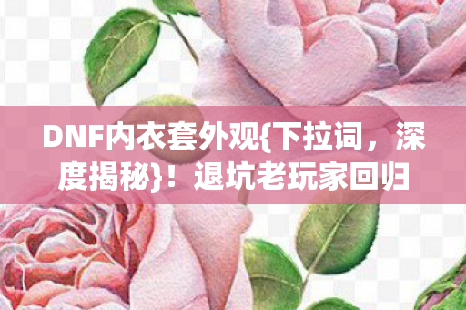 退坑老玩家回归爆逆天秘密图片