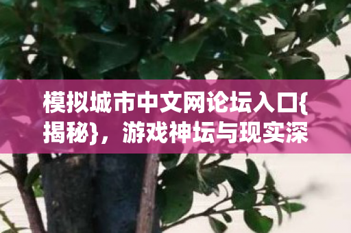 游戏神坛与现实深渊灵魂篇图片