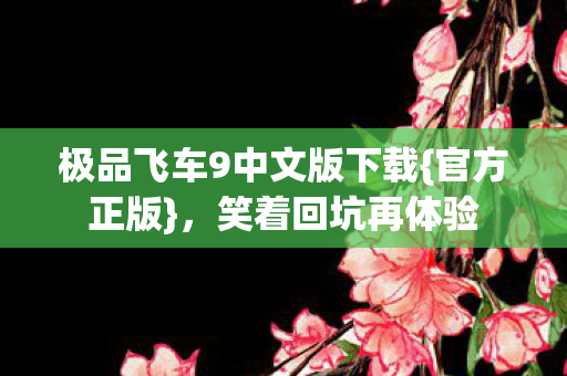 极品飞车9中文版下载图片
