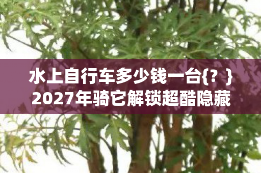2027年骑它解锁超酷隐藏技能图片