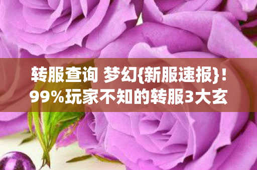 玩家不知的转服3大玄机图片