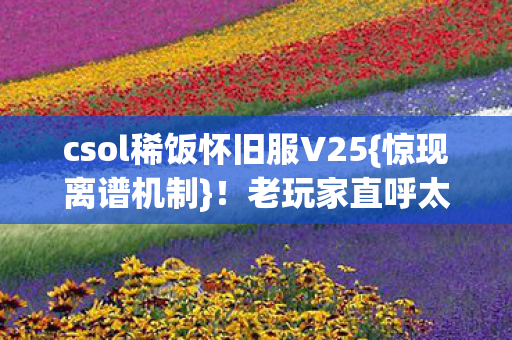 csol稀饭怀旧服V25图片