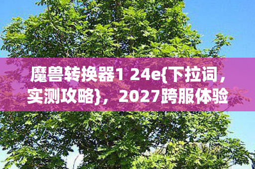 2027跨服体验升级秘籍图片