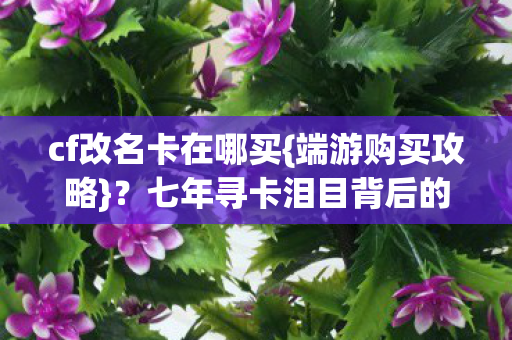 七年寻卡泪目背后的故事图片