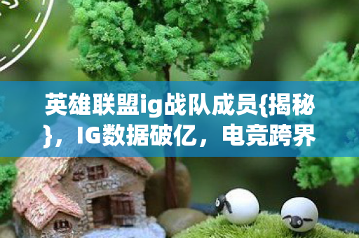 英雄联盟ig战队成员图片
