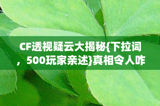 CF透视疑云大揭秘图片