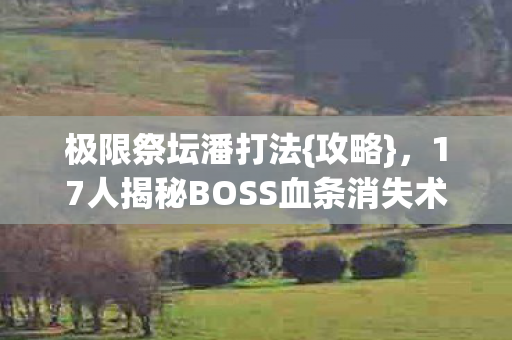 17人揭秘BOSS血条消失术图片