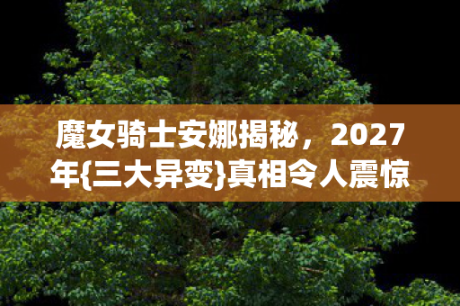 魔女骑士安娜揭秘图片