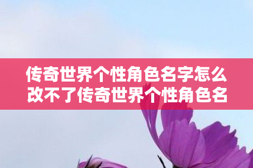 传奇世界个性角色名字怎么改不了传奇世界个性角色名字怎么改图片