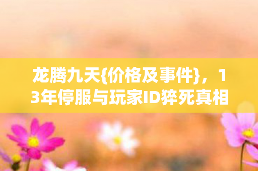 13年停服与玩家ID猝死真相图片