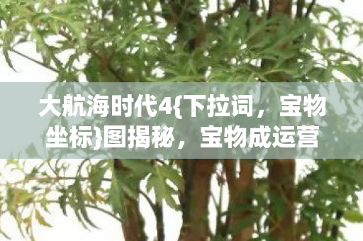 宝物成运营之殇图片